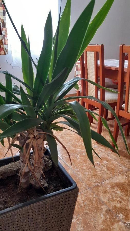 Bajusz Vendeghaz Hotel Tornyosnémeti Buitenkant foto