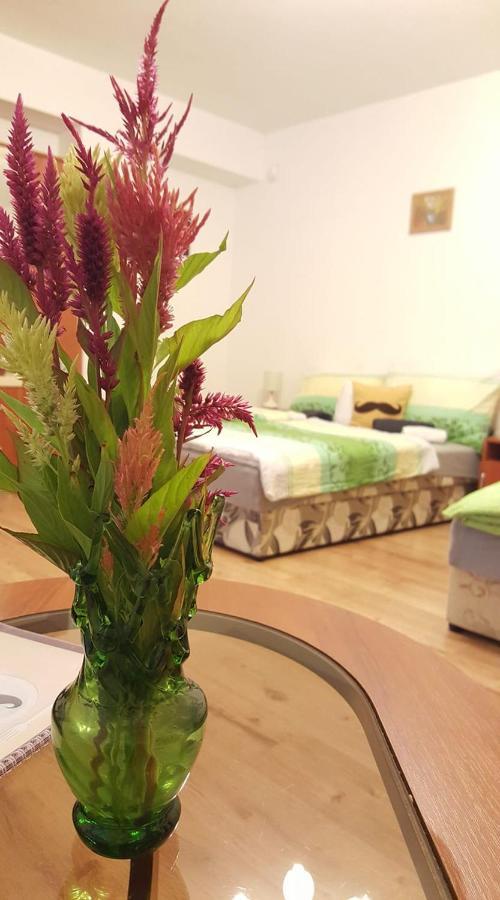 Bajusz Vendeghaz Hotel Tornyosnémeti Buitenkant foto