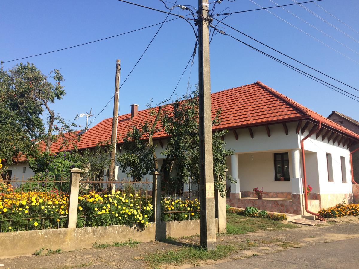 Bajusz Vendeghaz Hotel Tornyosnémeti Buitenkant foto