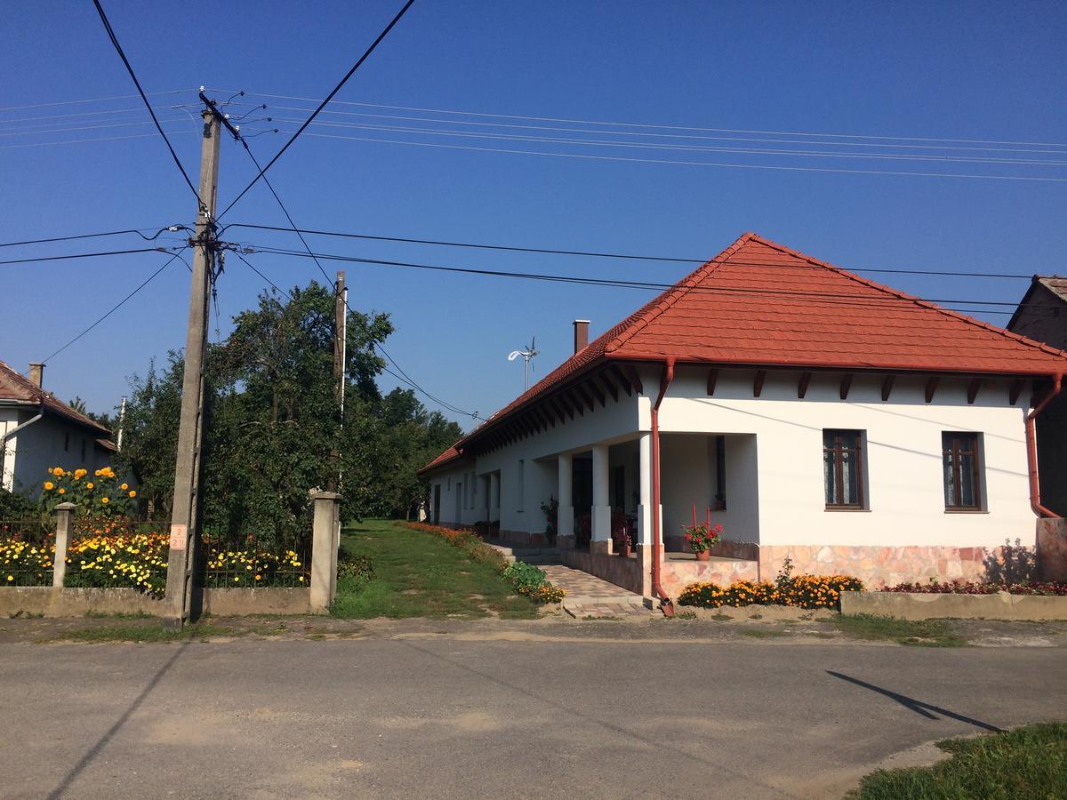 Bajusz Vendeghaz Hotel Tornyosnémeti Buitenkant foto