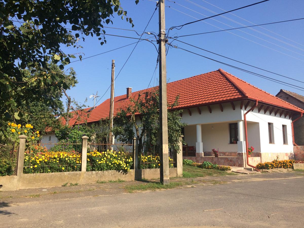 Bajusz Vendeghaz Hotel Tornyosnémeti Buitenkant foto