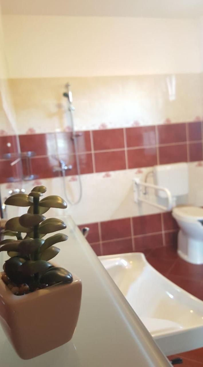 Bajusz Vendeghaz Hotel Tornyosnémeti Buitenkant foto