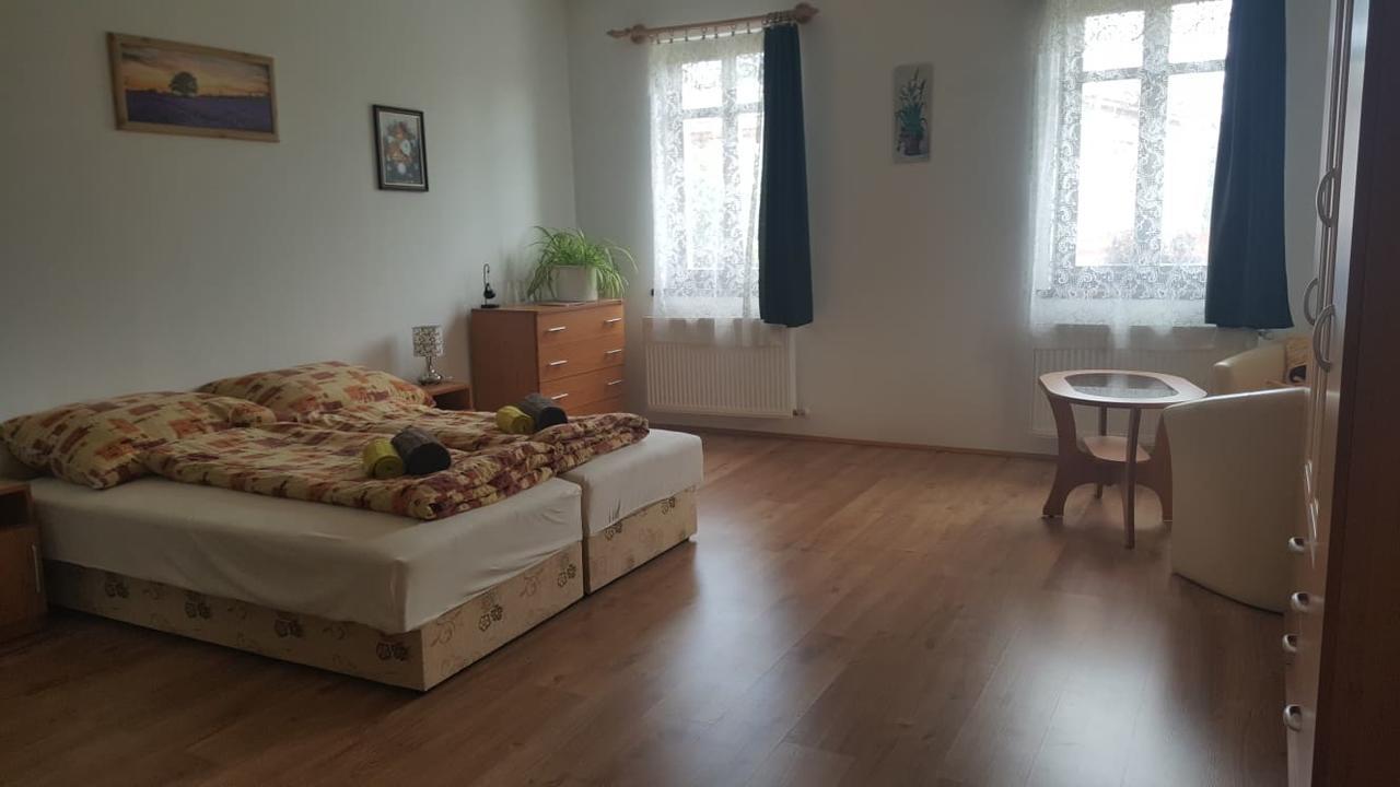 Bajusz Vendeghaz Hotel Tornyosnémeti Buitenkant foto